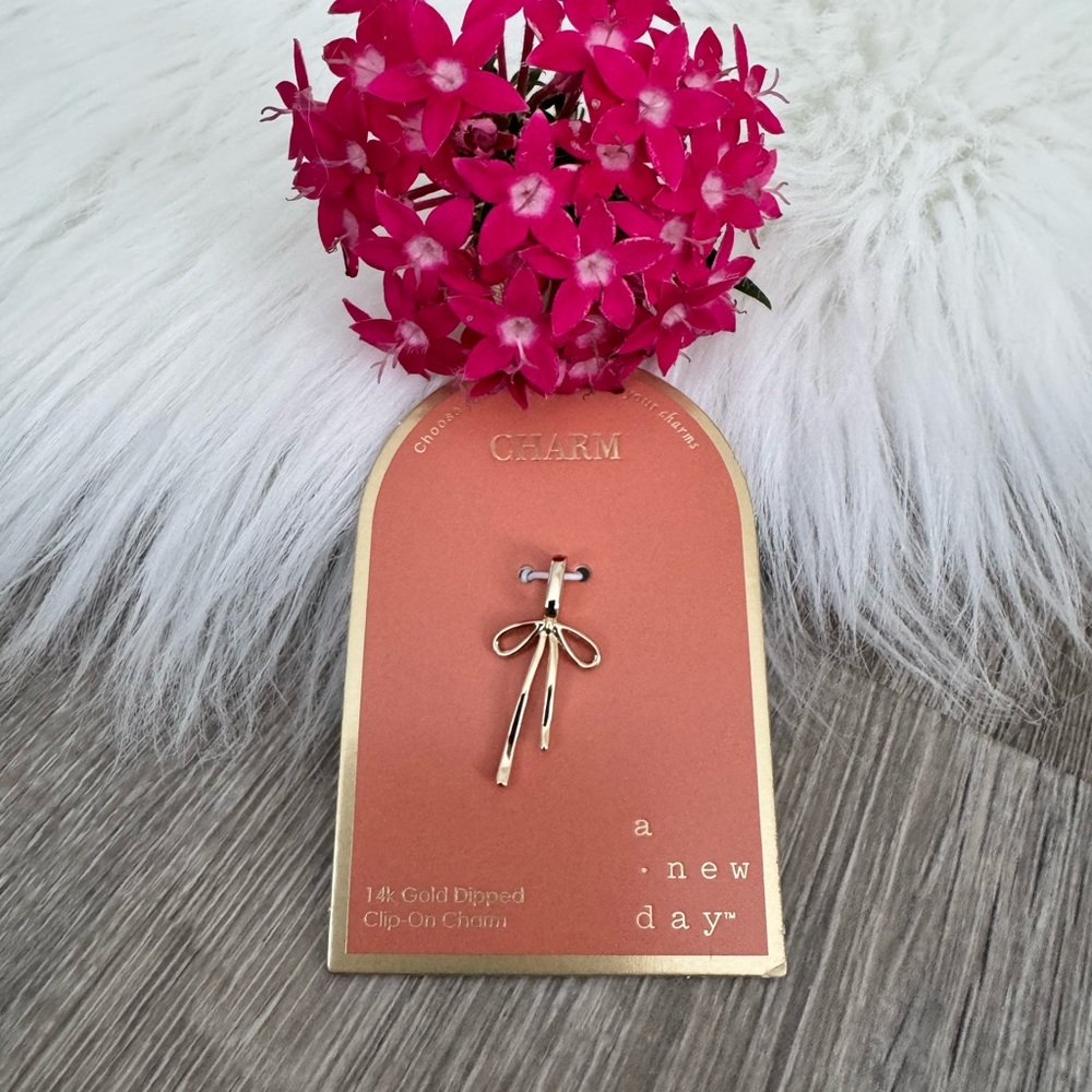 💝A New Day 14k Gold Dipped Clip On Bow Charm